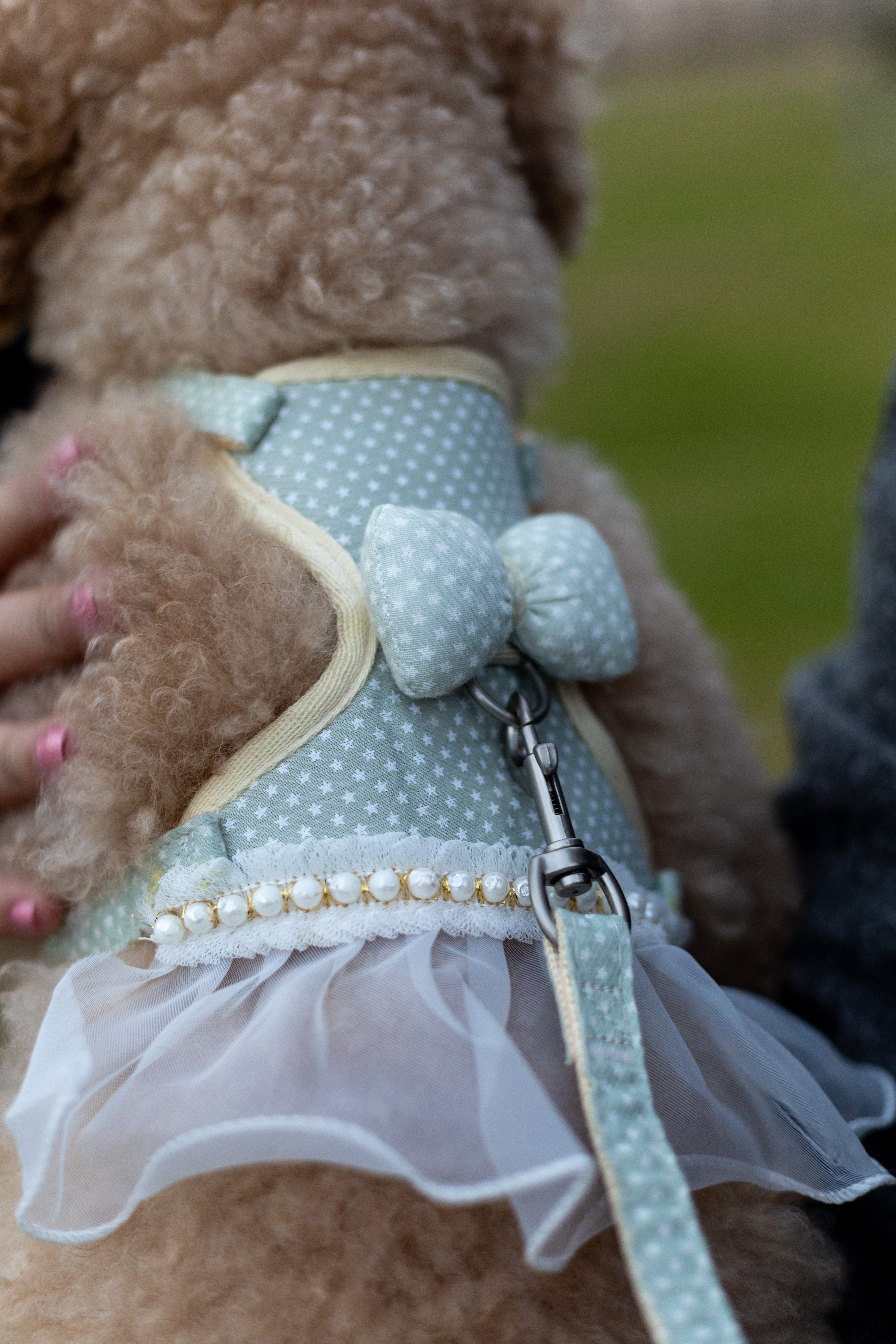 CUTE harness & leash SMALL DRESS