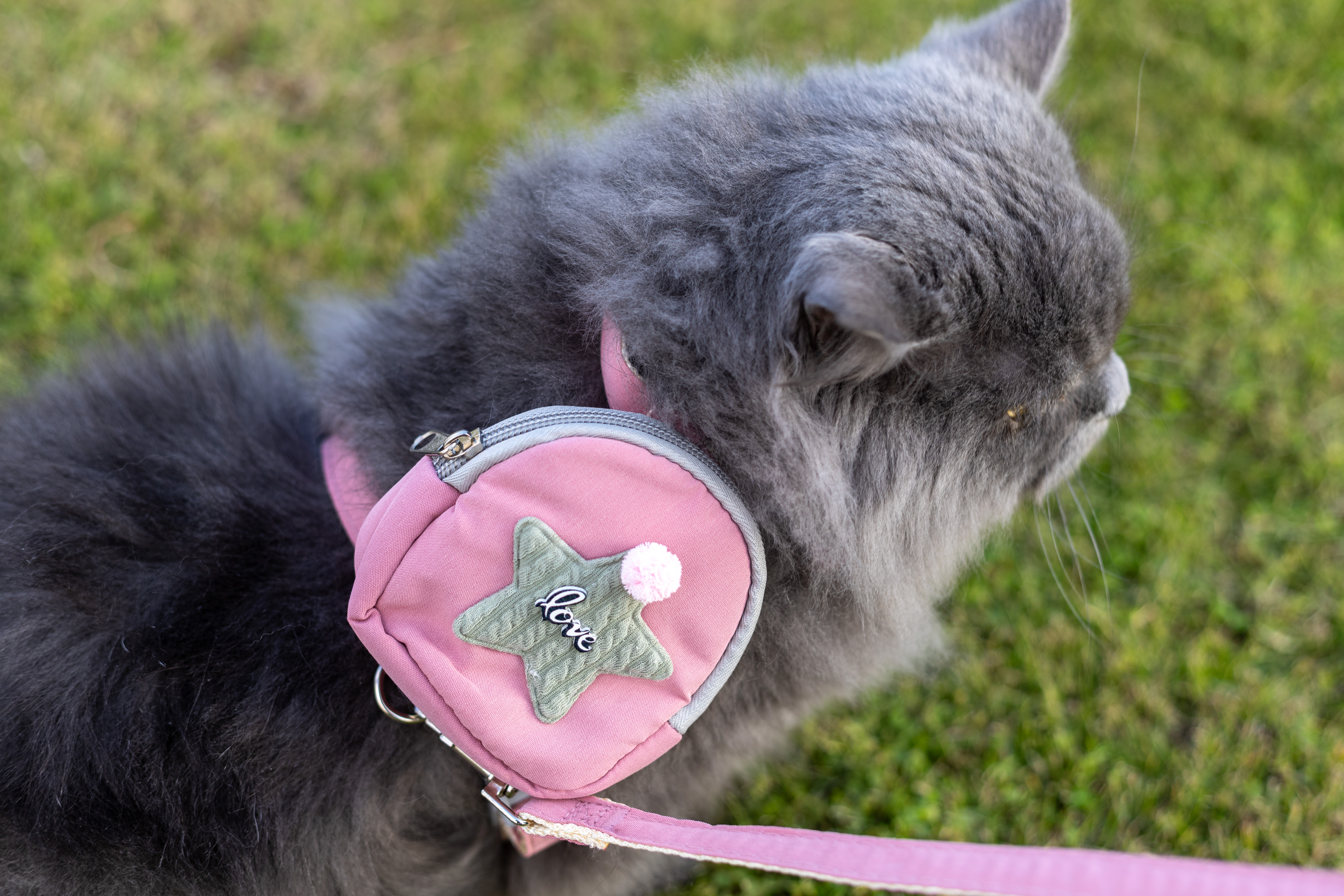 Pet Backpack star ,  for Cats And Dogs, Harness with Leash 5