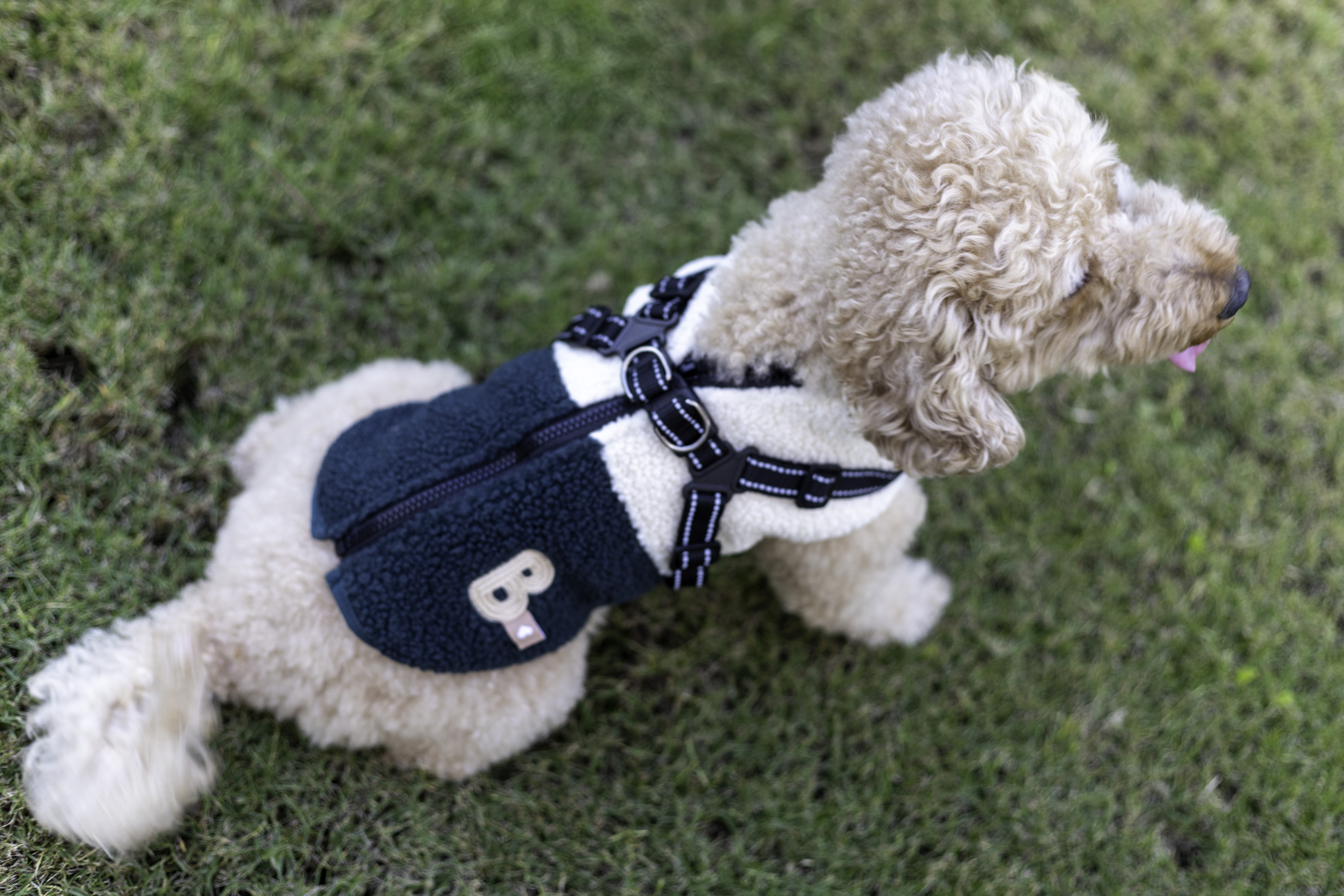 VEST WARM DOG HARNESS  Reflective 3