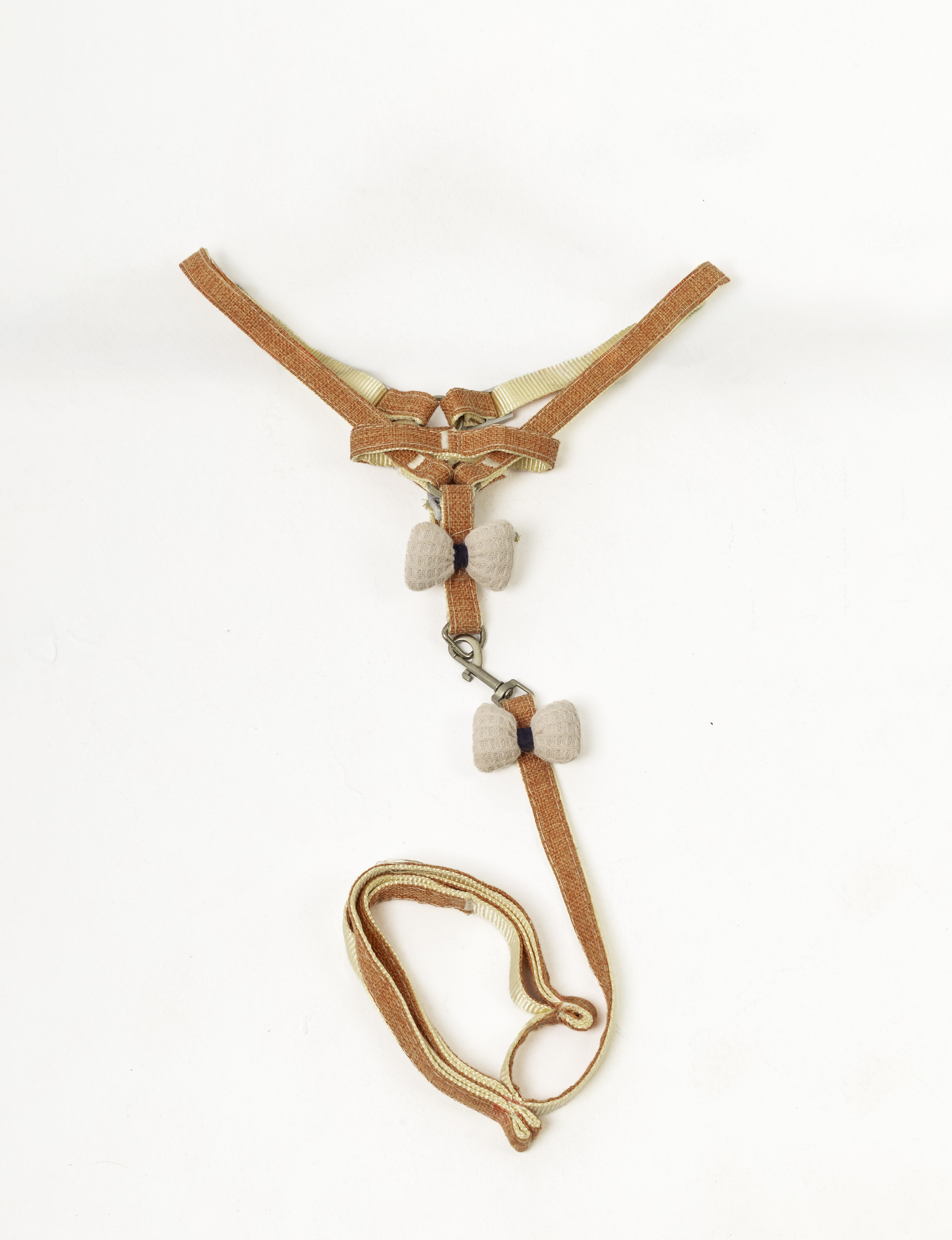 CUTE harness & leash 3