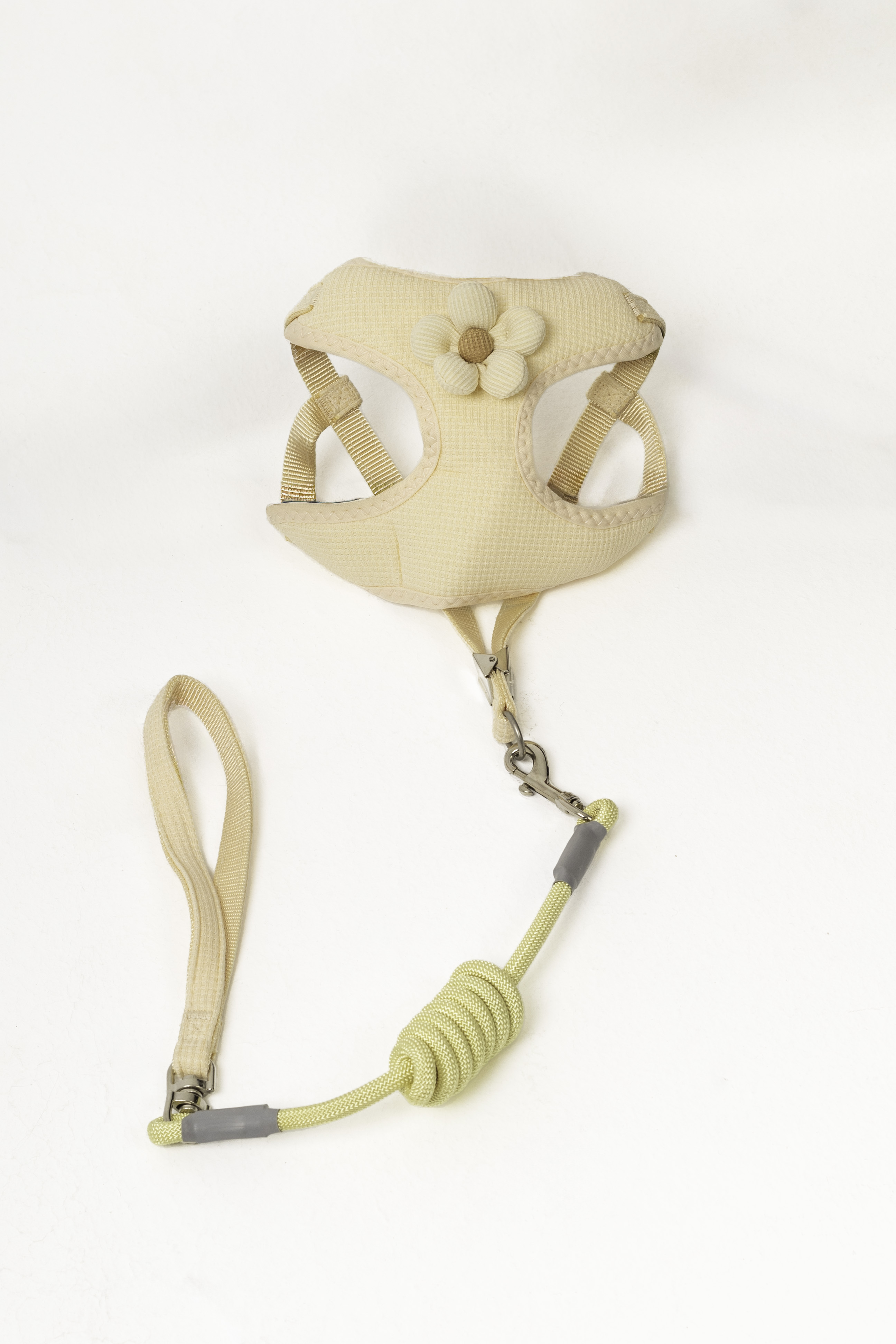 CUTE harness & leash WITH FLOWER 6